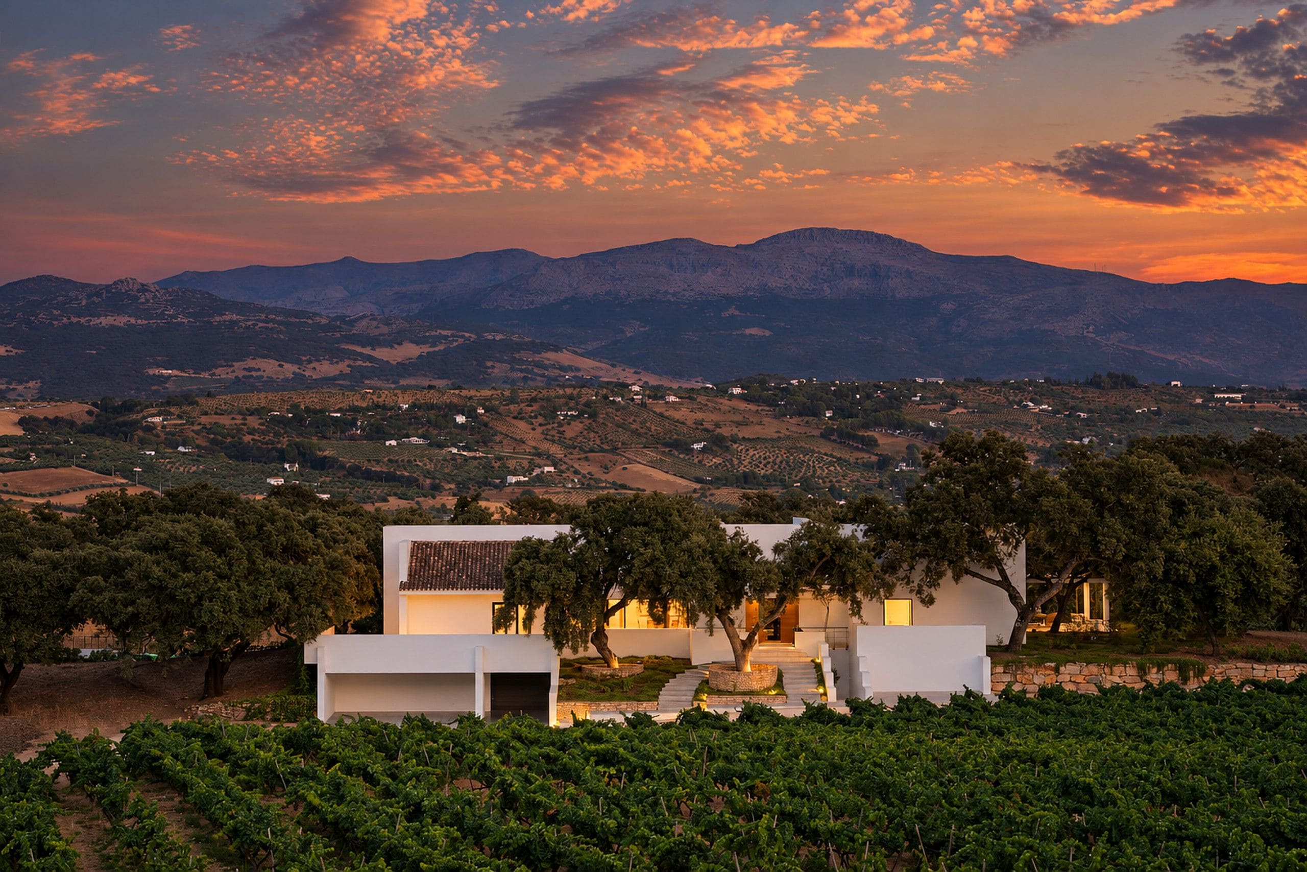 Une villa moderne, avec un vignoble au premier plan et une chaîne de montagnes en arrière-plan, au coucher du soleil.