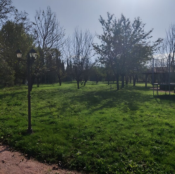 A park with grass, trees, and a lamp post.