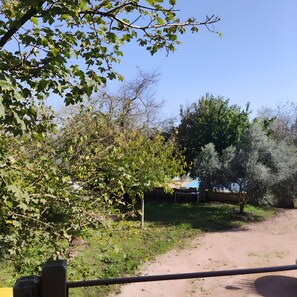 A dirt path leading through a natural area with trees and shrubs.