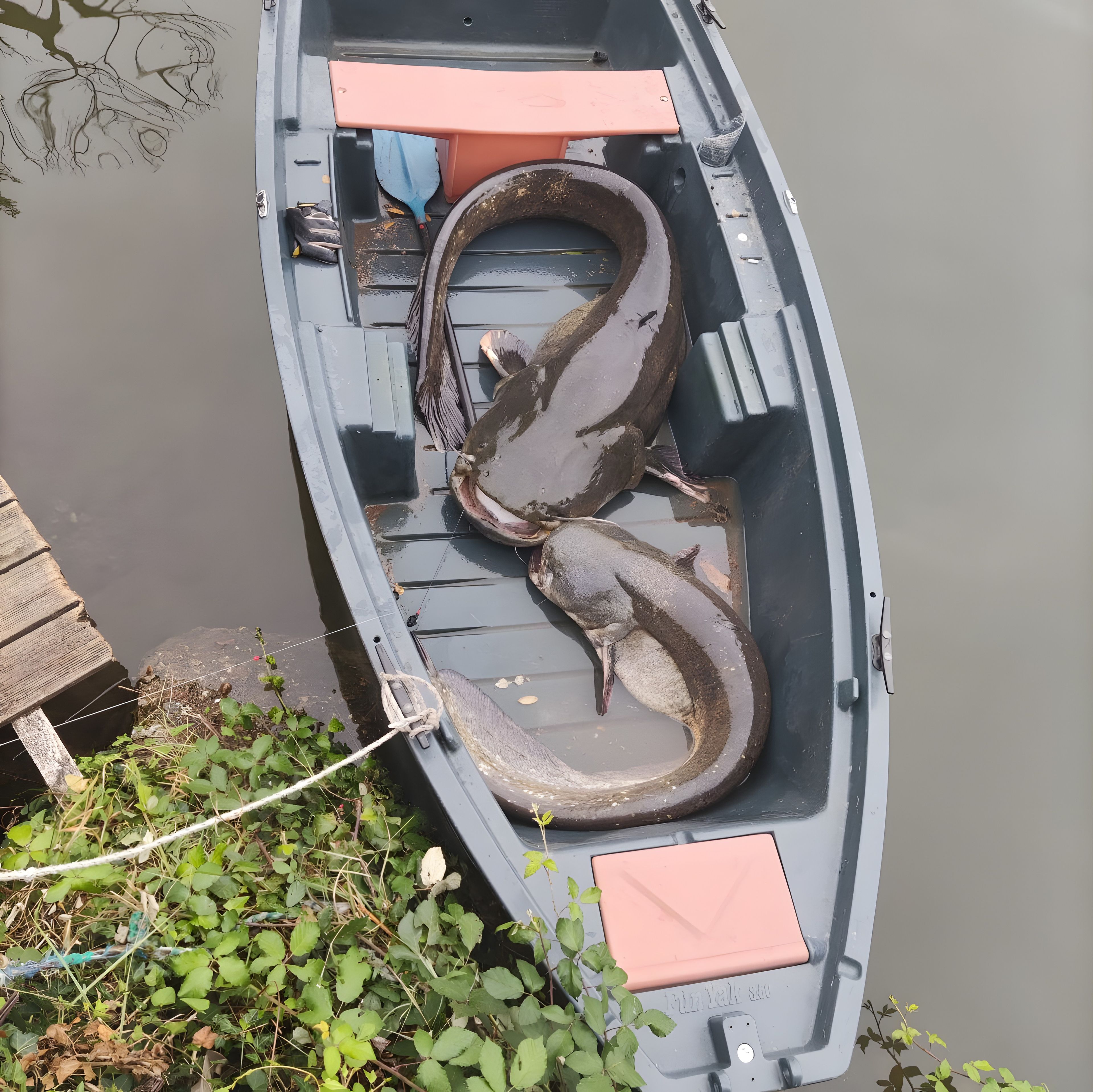 Ein Boot mit einem großen Fisch, der an der Seite festgebunden ist, einem Paddel und einem Seil.
