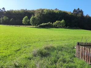 A grassy field with a wooden fence and trees in the background.