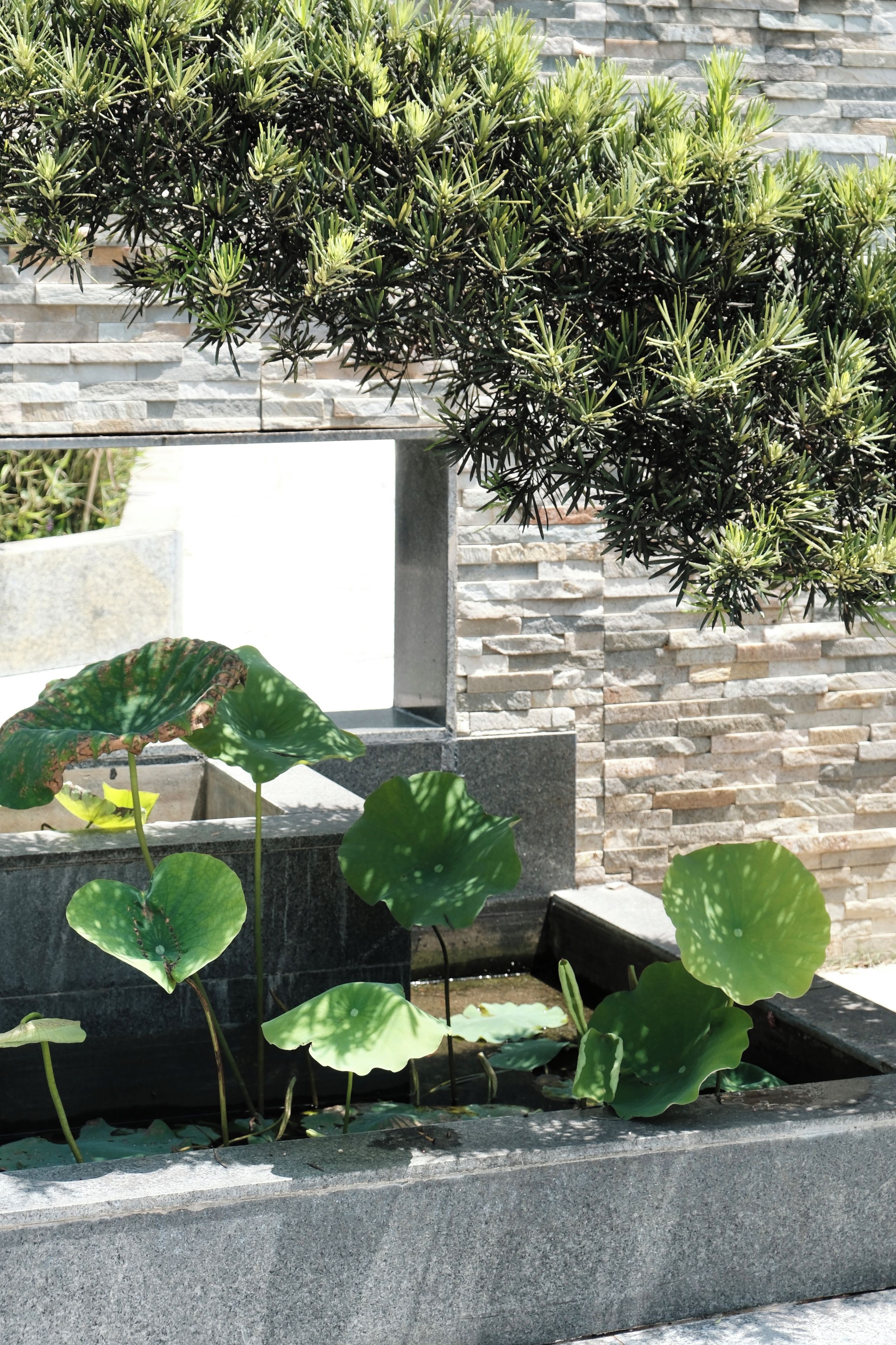 A garden with a stone wall, a variety of plants, and a water feature.