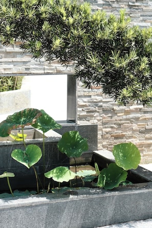 Khuôn viên nơi lưu trú