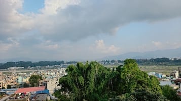 A cityscape with buildings, trees, and mountains in the background.