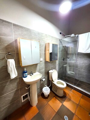 Bathroom - Terrific 4-bedroom farmhouse in charming Santa Sofia awaits you (Santa Sofia)