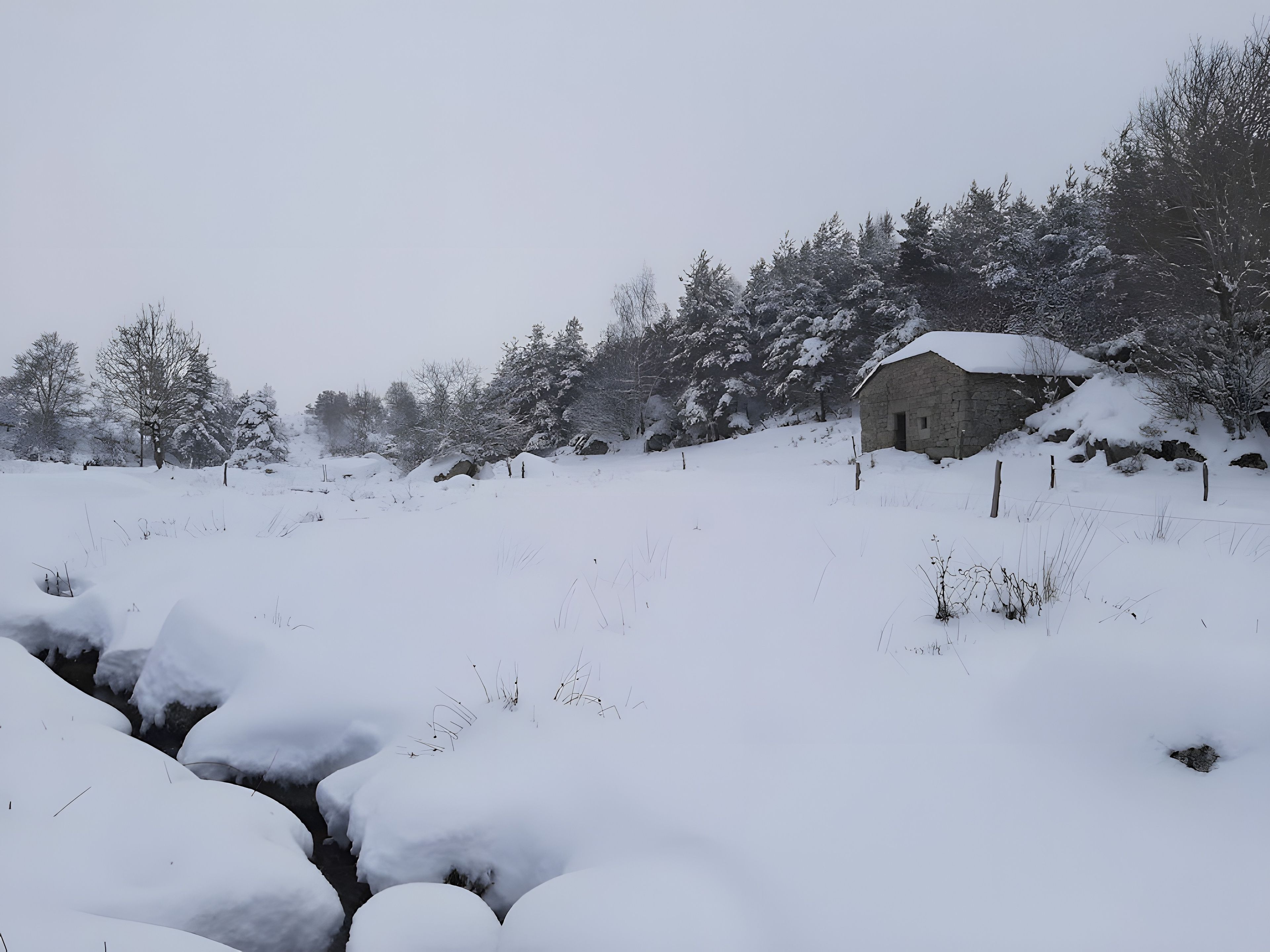 Schneebedeckte Landschaft mit einem Steinhaus, einem Zaun und Bäumen.