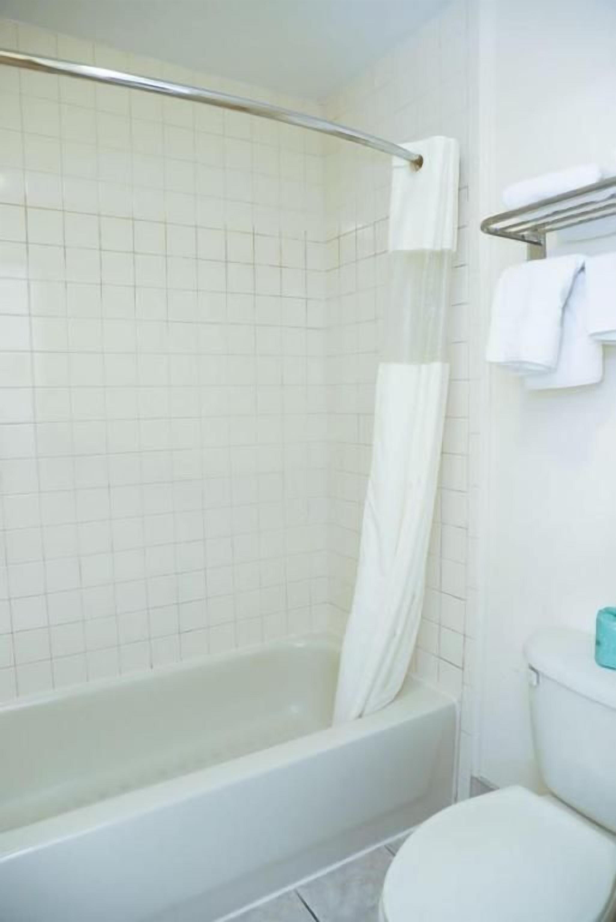 A bathroom with a bathtub, a toilet, and a shower curtain.