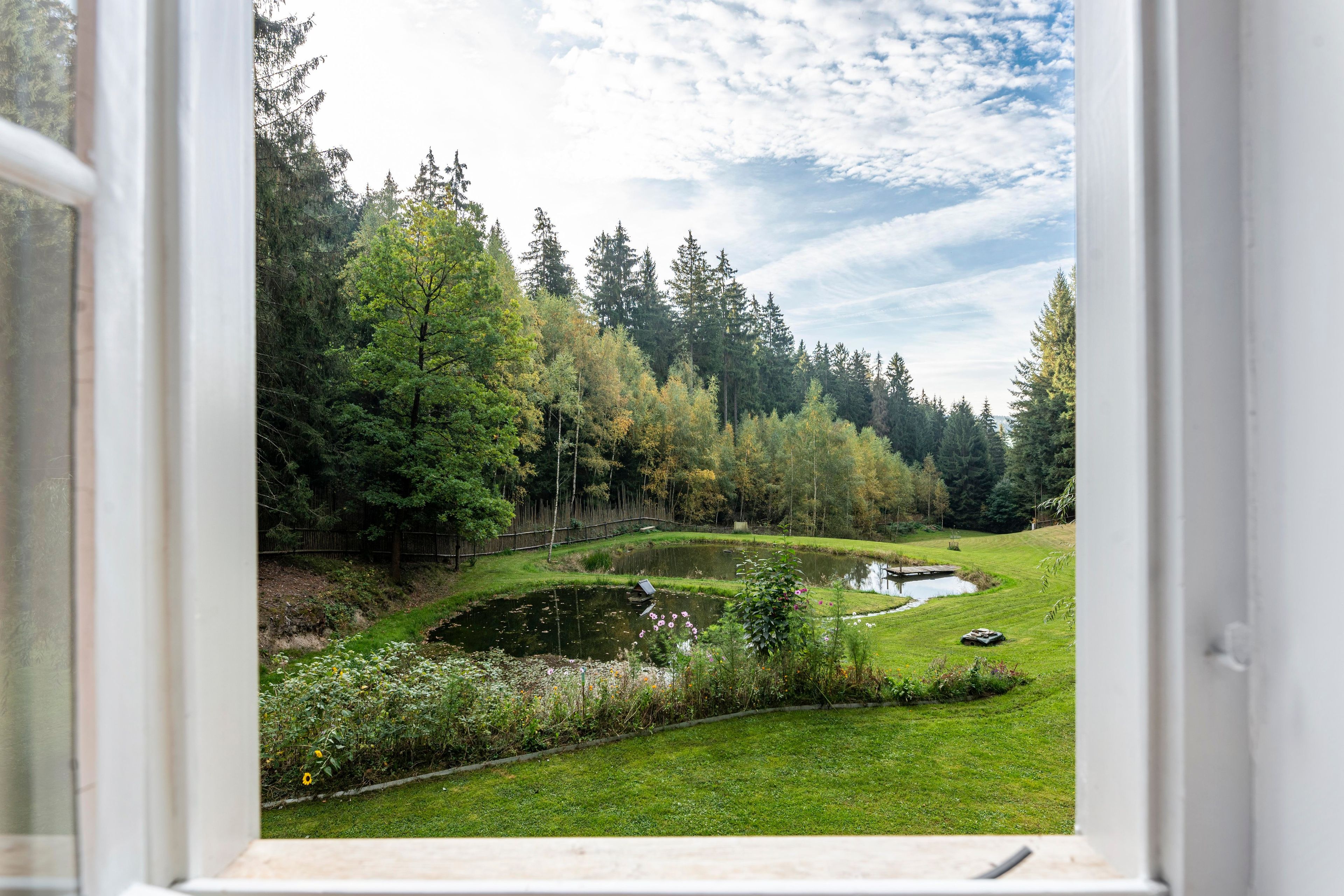 Vista pela janela de um jardim exuberante com lago, cercado por árvores e uma cerca de madeira.