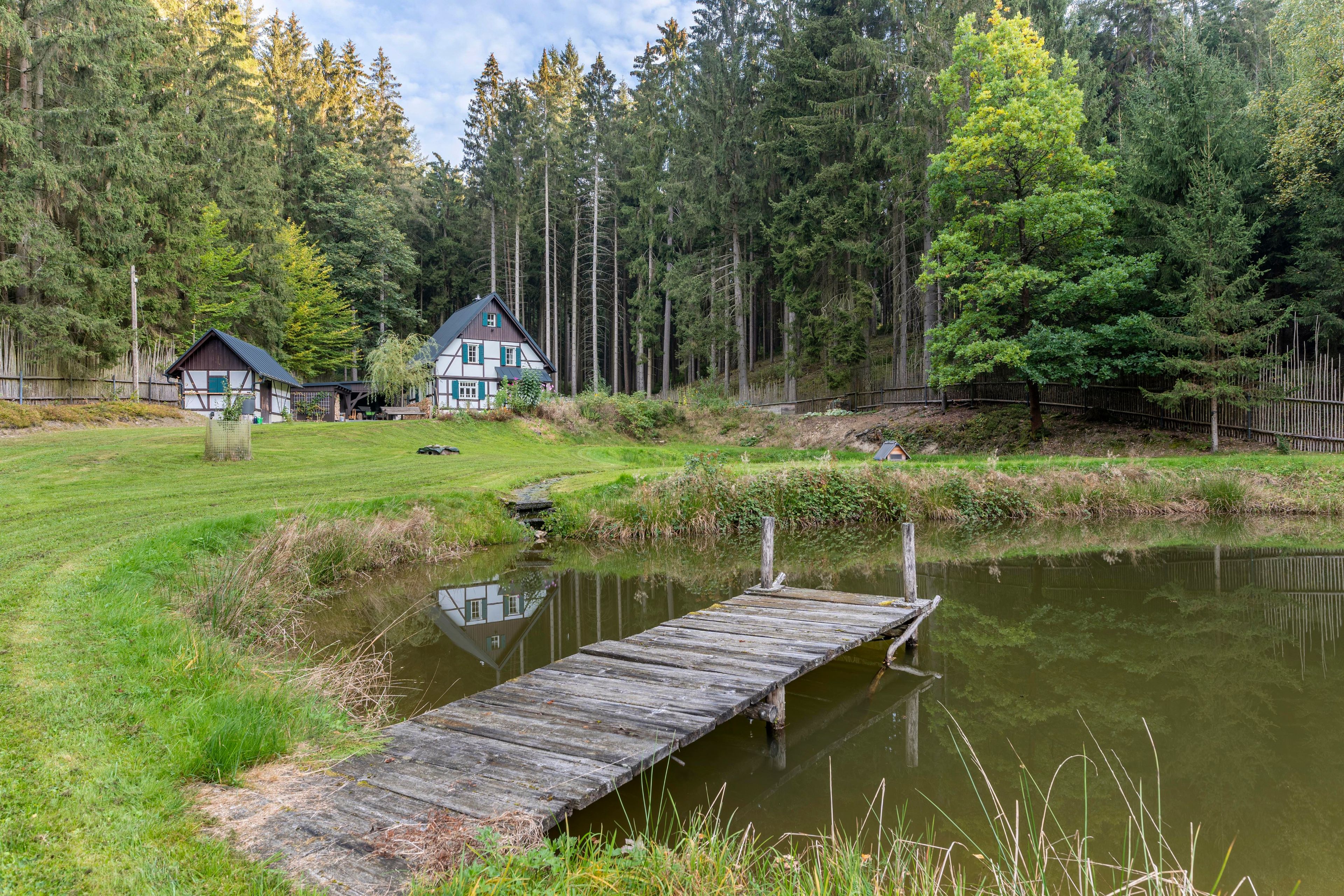 A wooden dock extending into a calm pond, surrounded by lush greenery and a forested backdrop.