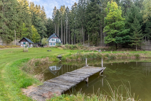 A wooden dock extending into a calm pond, surrounded by lush greenery and a forested backdrop.