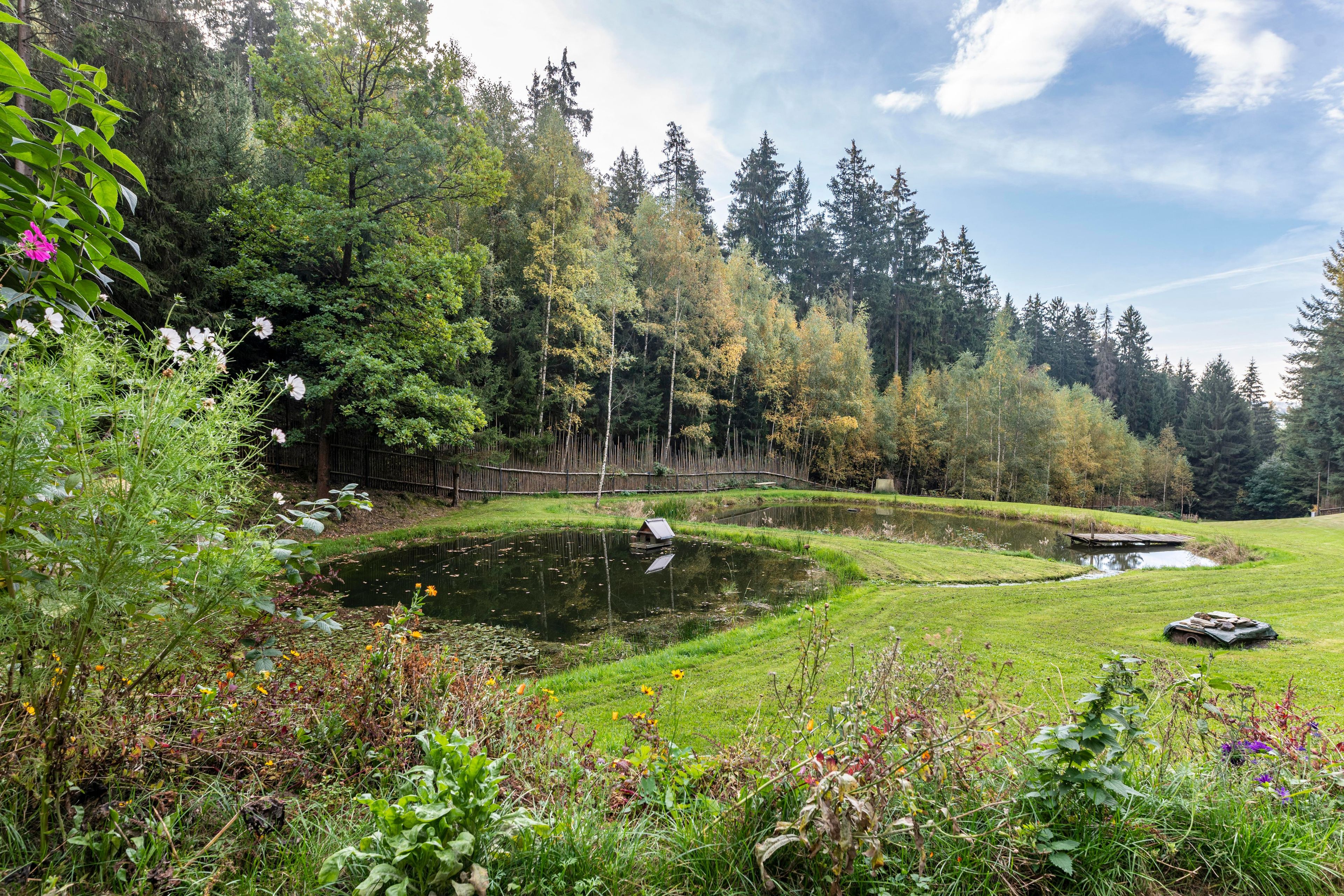 A serene pond surrounded by lush greenery and trees, with a wooden bridge crossing over it.