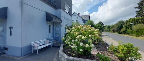 A building with a blue exterior, a bench outside, and a garden with white flowers.