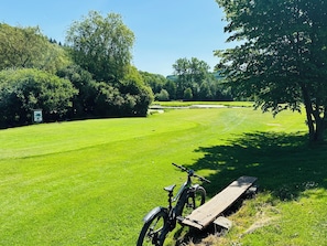 Eine grüne Wiese mit einer Holzbank und einem Fahrrad, umgeben von Bäumen und blauem Himmel.