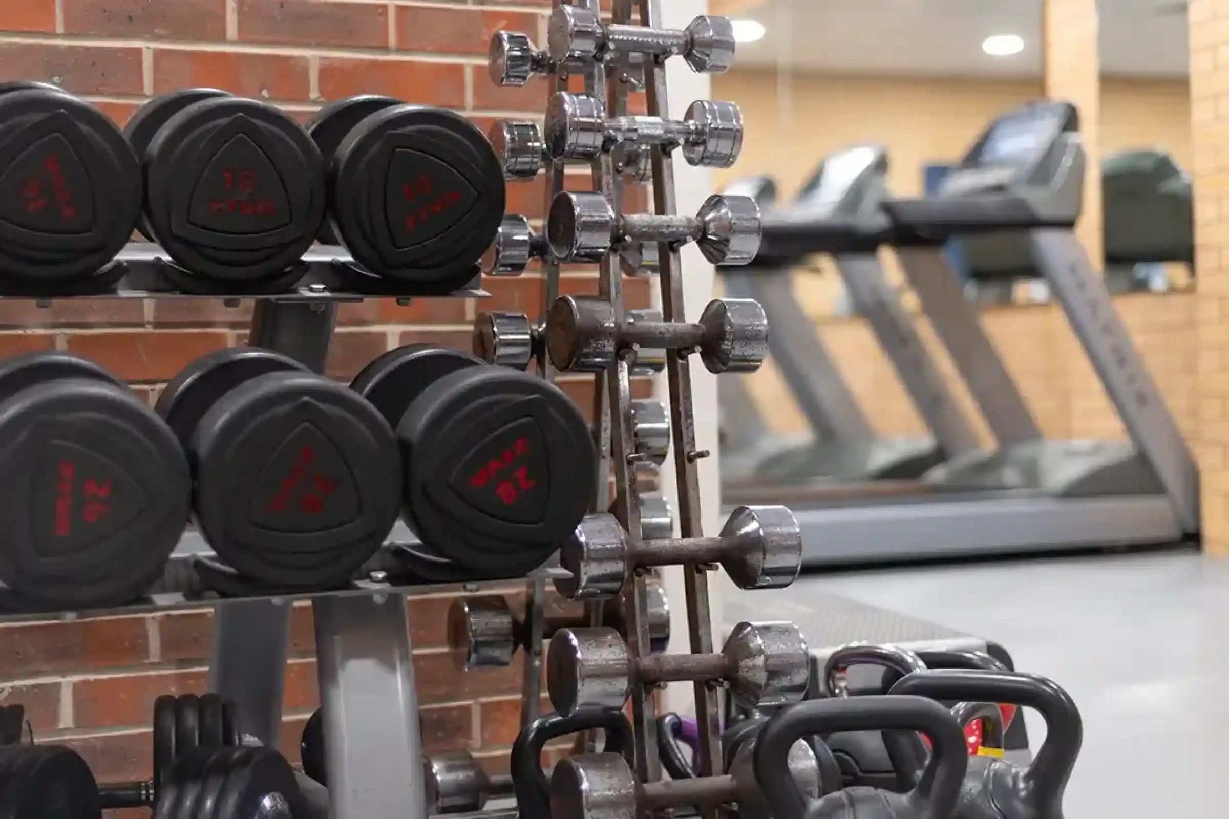 A gym with weightlifting equipment, including dumbbells and barbells, and a treadmill in the background.