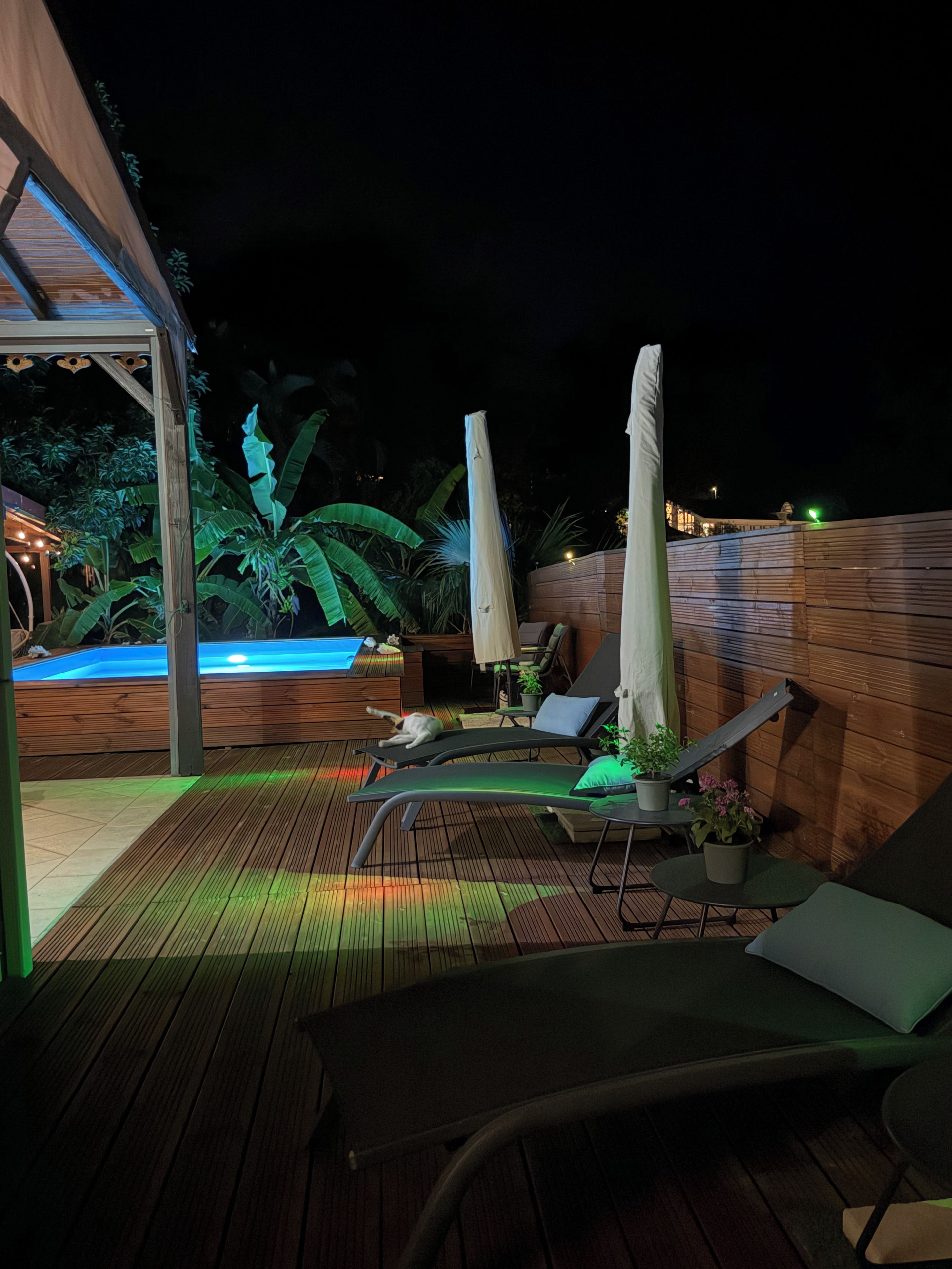 An outdoor deck with lounge chairs, a hot tub, and potted plants.
