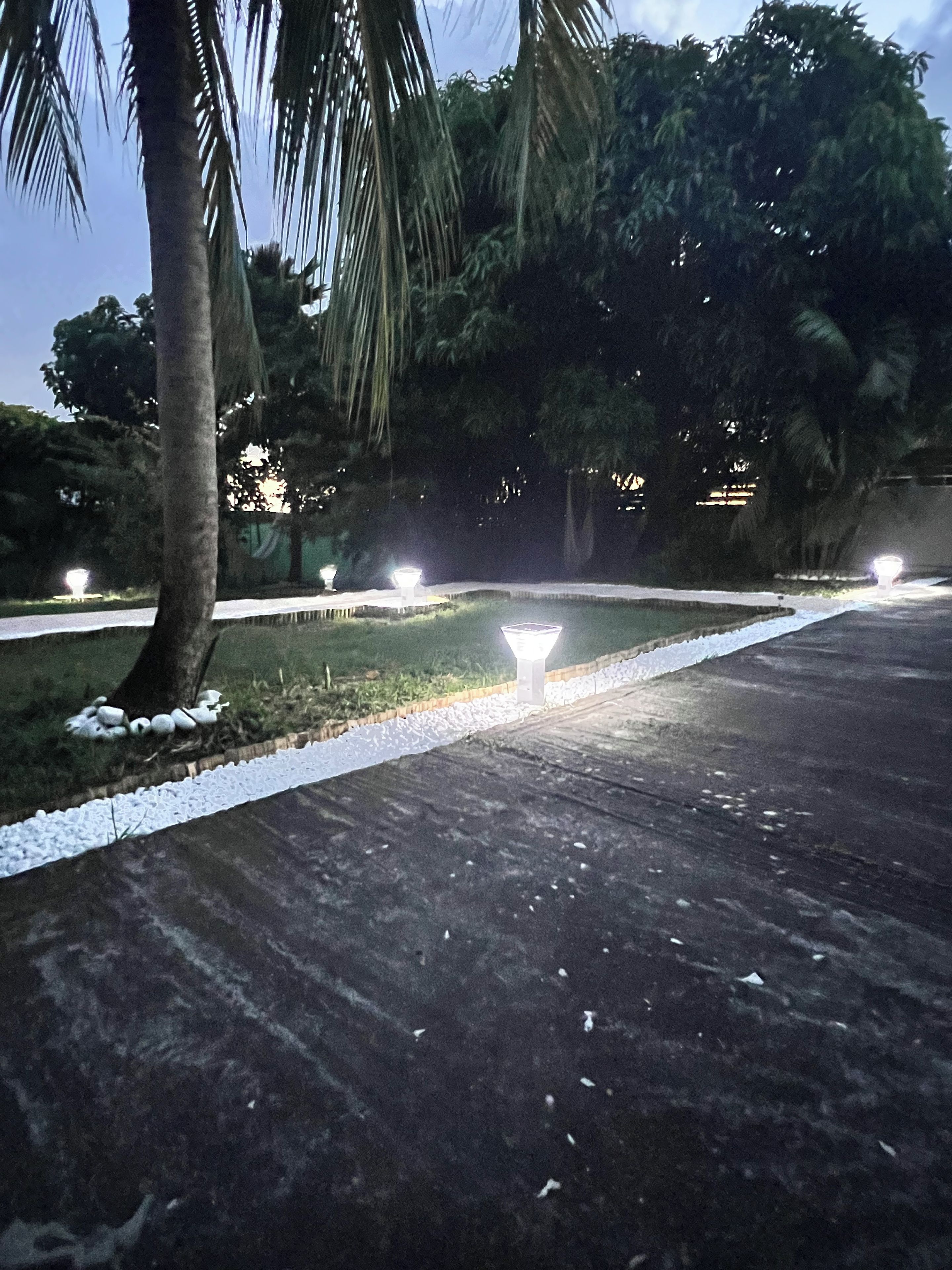A paved pathway with a white edge, surrounded by greenery and palm trees.