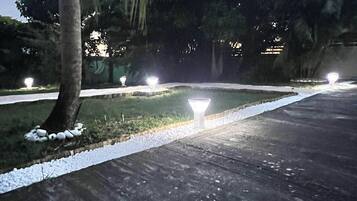 A paved pathway with a white edge, surrounded by greenery and palm trees.