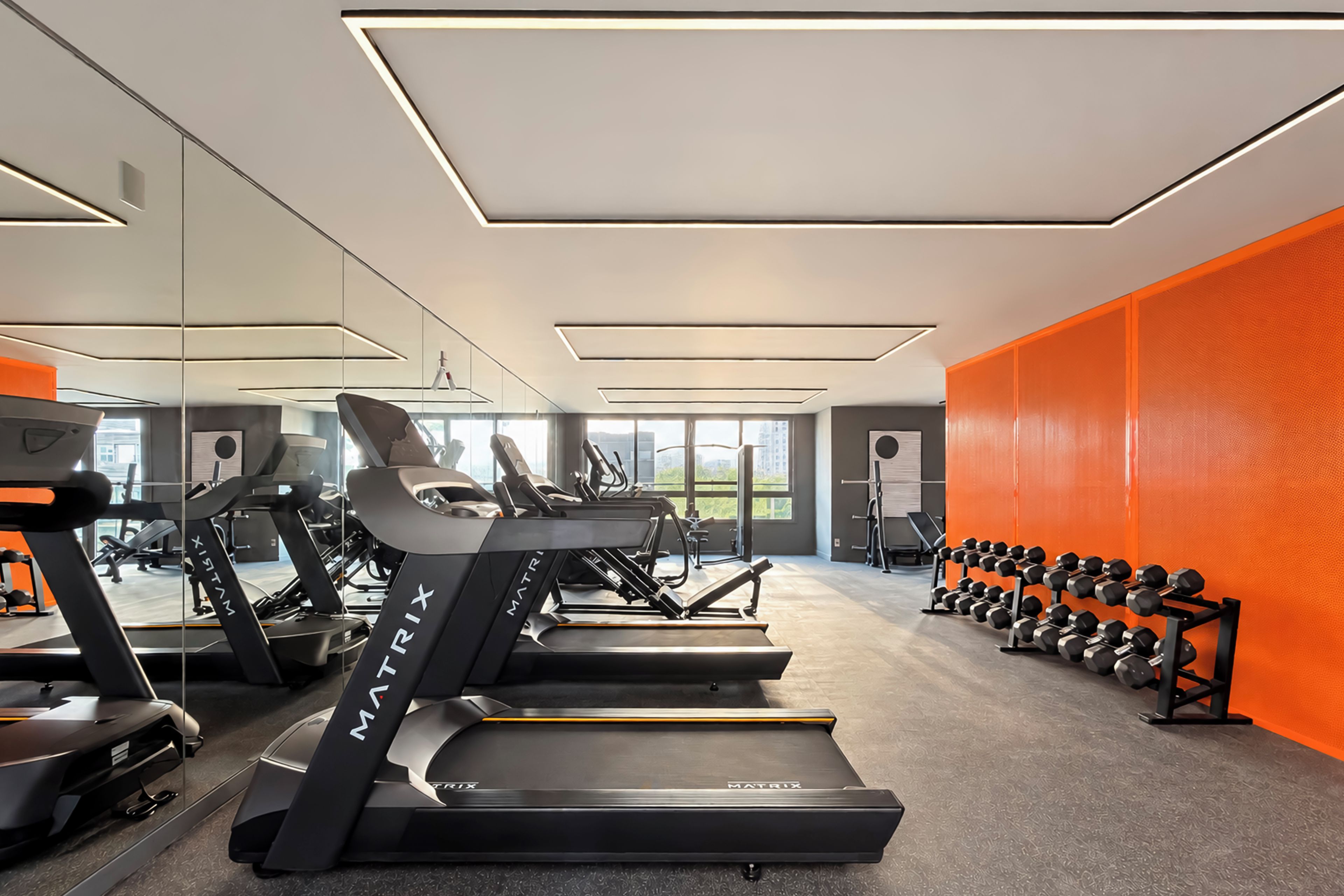 A gym with treadmills, weight machines, and dumbbells.