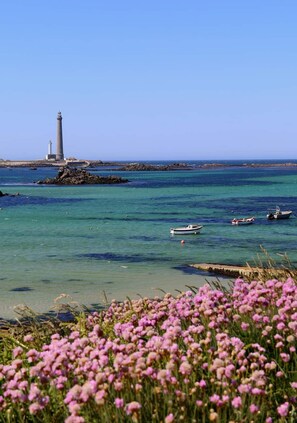 A coastal scene with a lighthouse, boats, and pink flowers in the foreground. - Comfortable chalet 150m from Grève Blanche beach (Plouguerneau)
