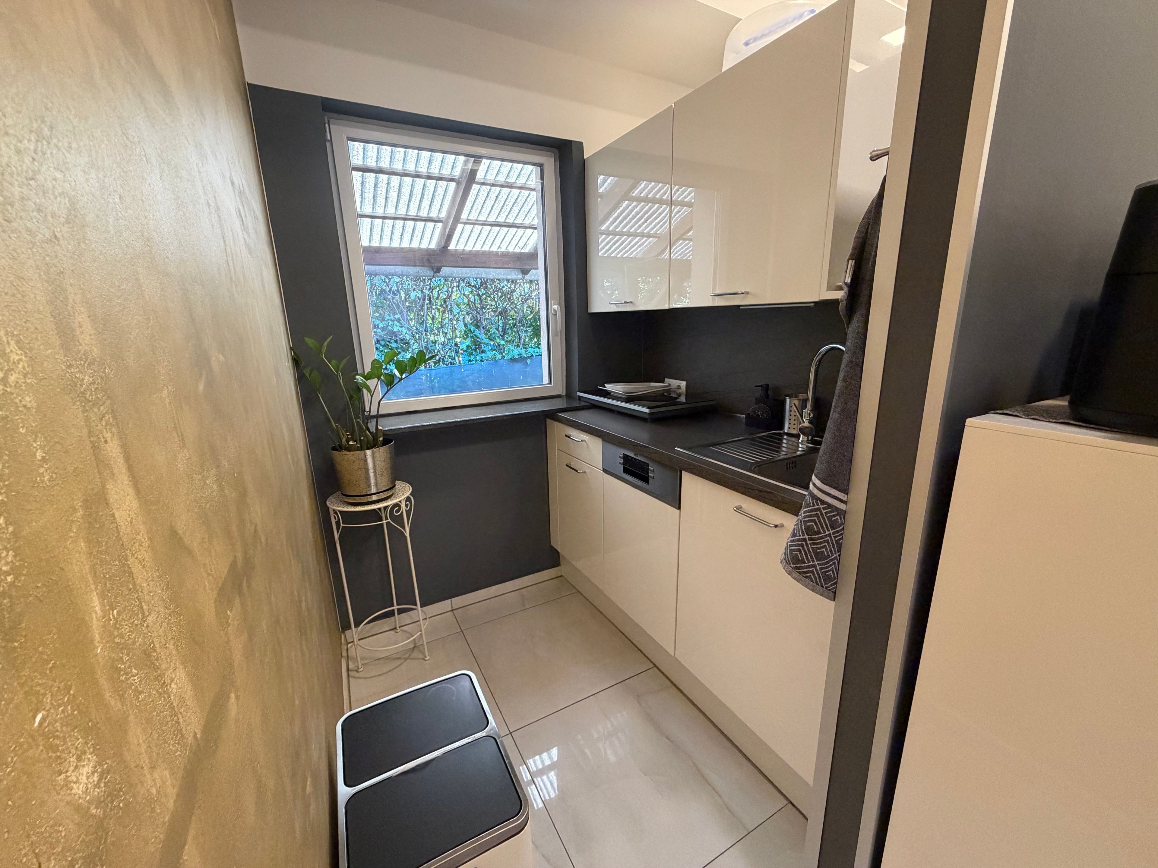 A compact kitchen with a window, a sink, and a potted plant.