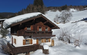 Exterior - Chalets Glemmtal - Chalet Dorfblick (Viehhofen)