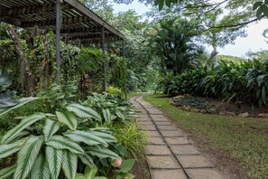 A stone pathway leading through a lush garden with various tropical plants and a wooden pergola structure. - Eden Escape - Garden Retreat (Pokuase)