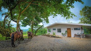 Exterior - 3BR Peaceful Country House Retreat Near Venado Caves, Río Celeste & La Fortuna (san carlos)