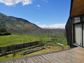A wooden deck with a view of a vineyard and a mountain in the background.