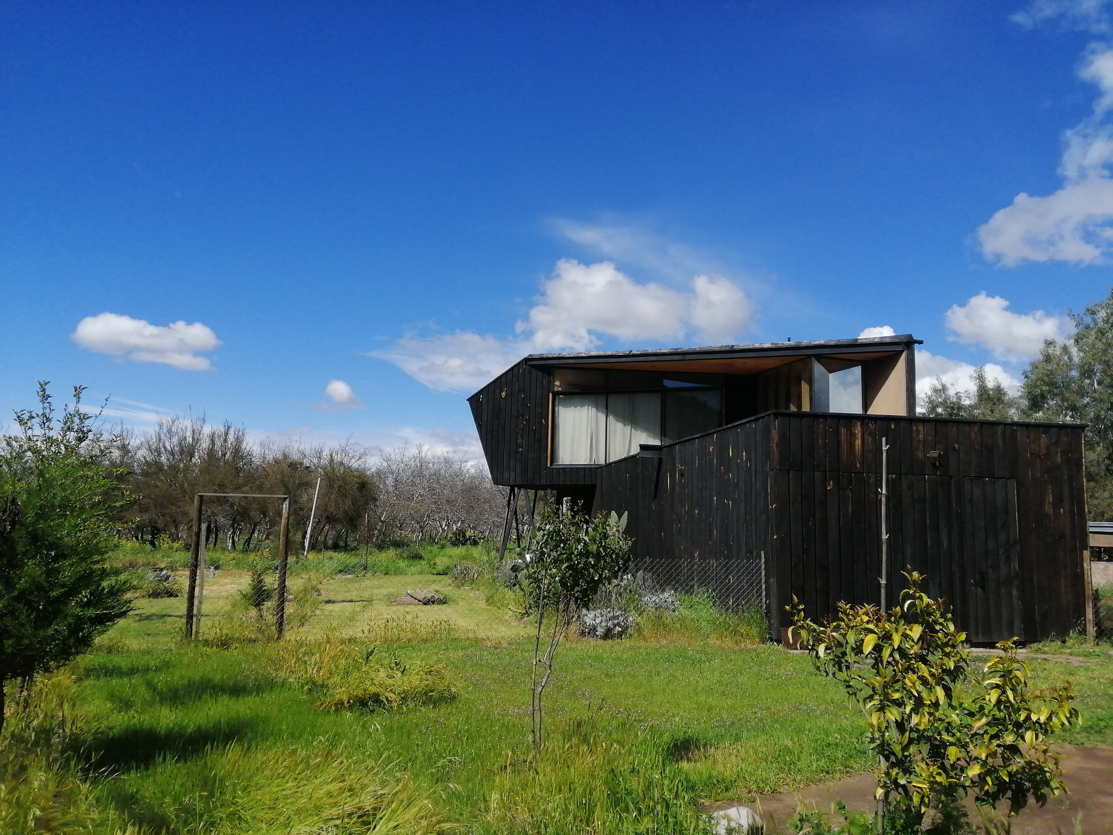 A modern wooden house with a large window and a balcony, surrounded by a grassy yard and trees.
