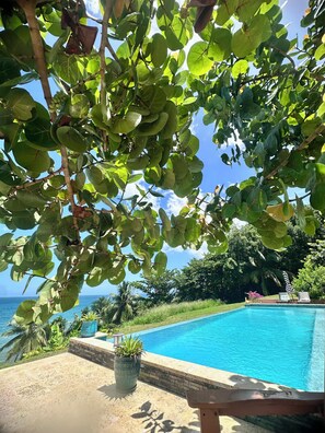 A poolside area with a view of the ocean, surrounded by lush greenery and a clear blue sky. - You found a unicorn ~hidden beach cottage~The LoveNest~Rincón  (Rincón)