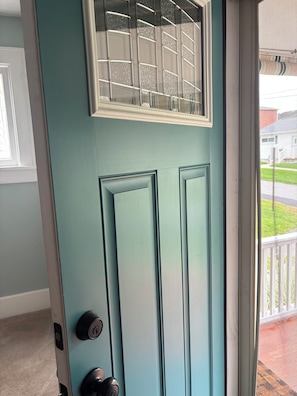 A teal-colored door with a window above it, a set of two black door handles, and a view of a residential area outside.