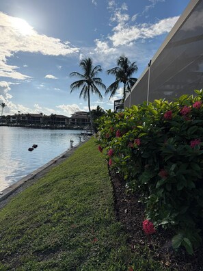Blick auf das Wasser mit einer Rasenfläche, Palmen und einem Gebäude mit glänzender Fassade.