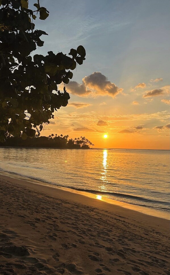 A beach with a sunset, calm water, and a tree line. - CasaMara #2, tropical bungalow in Private Residential area walkable to the beach (Las Terrenas)