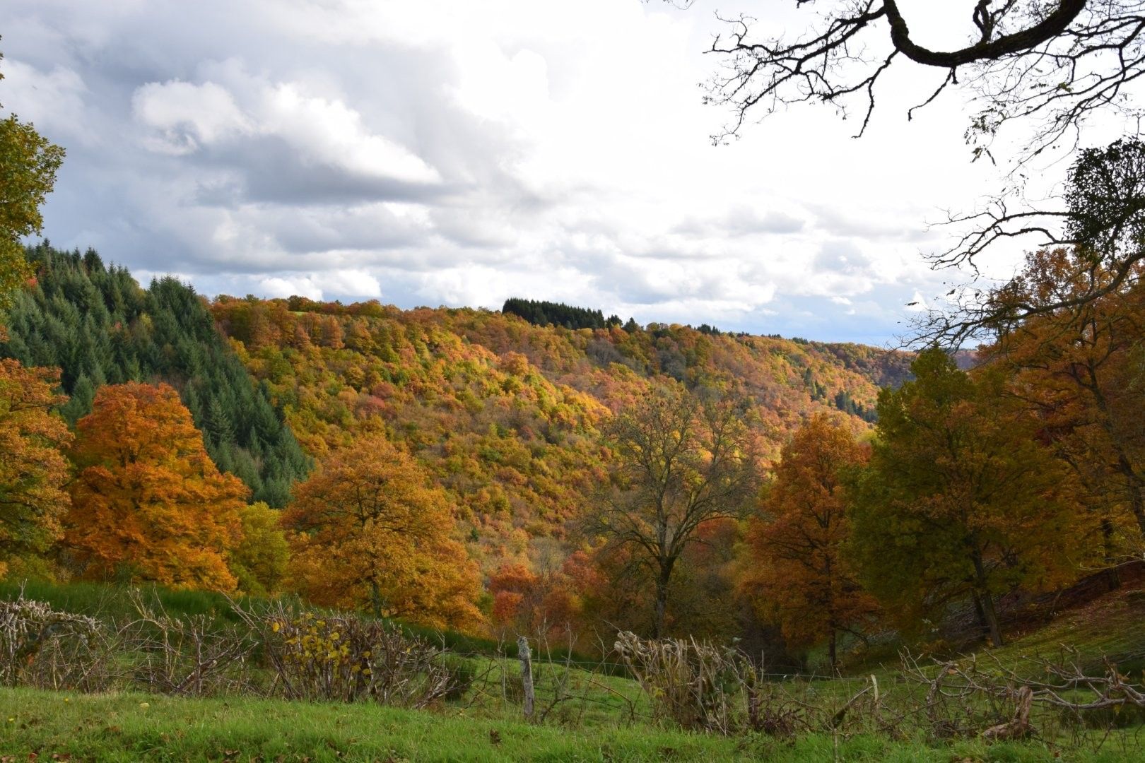 Paisagem montanhosa com folhagem de outono.