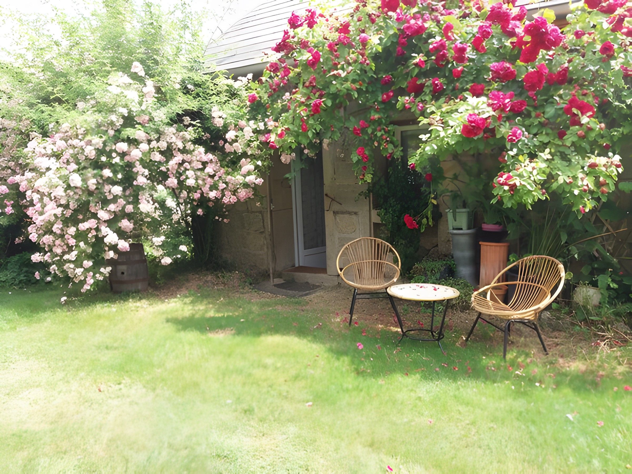 Un jardin agrémenté de plantes à fleurs et comprenant deux fauteuils en osier.
