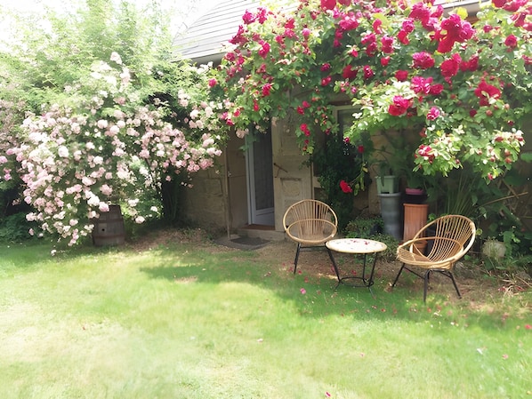 A garden with flowering plants and two wicker chairs.
