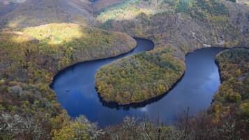 A river winding through a forested valley with a small island in the center.