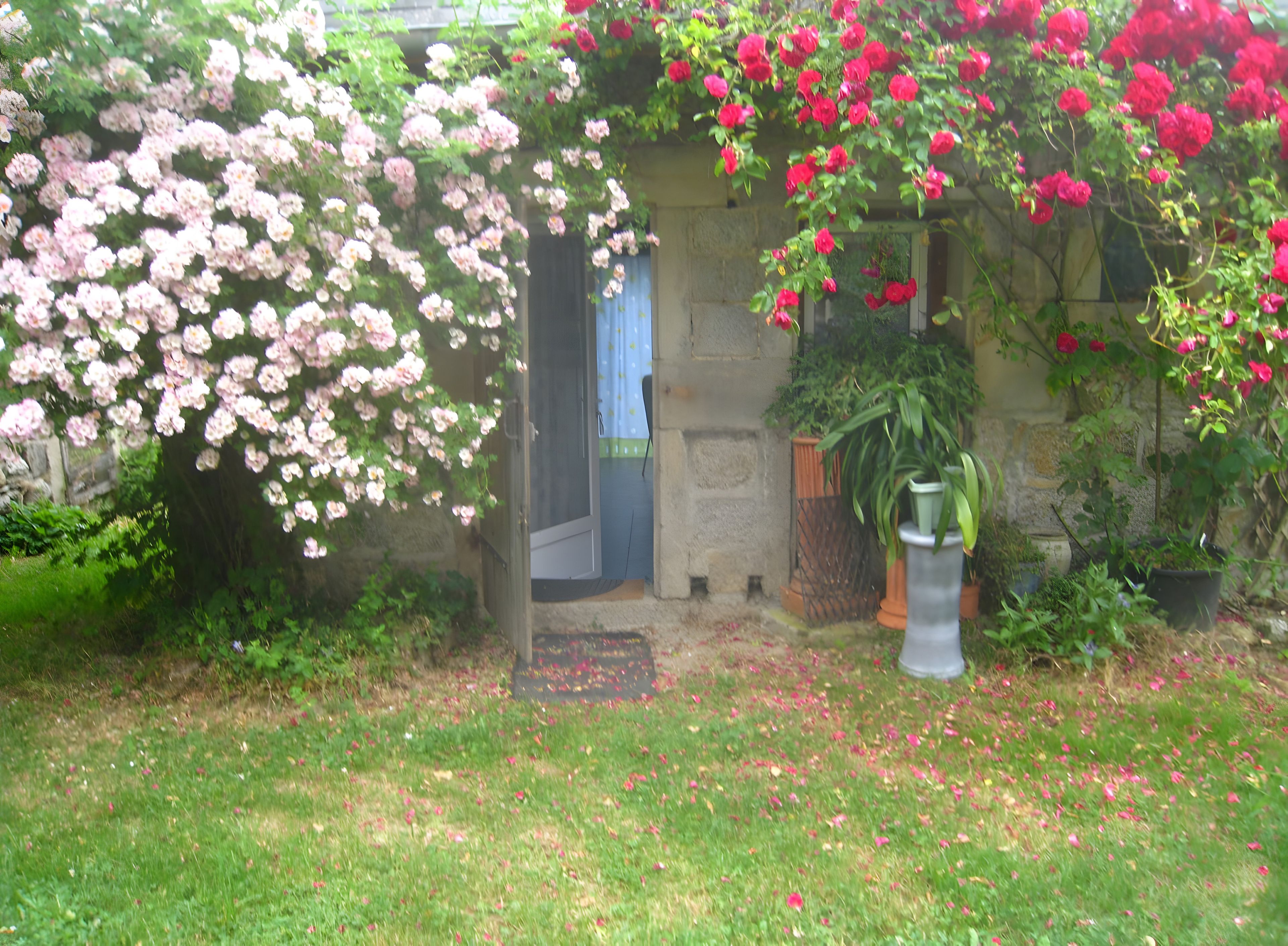 Een tuin met bloeiende planten, een stenen muur en een deur.