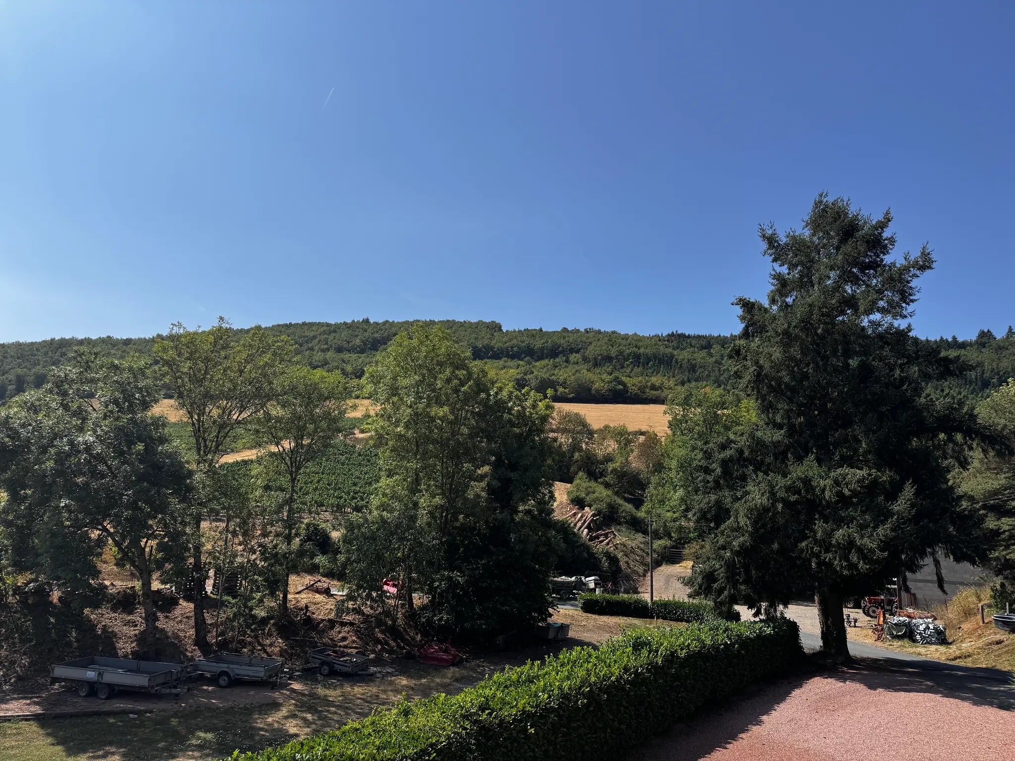 Ländliche Landschaft mit einer Feldstraße, Bäumen und einer Hügelkette im Hintergrund.