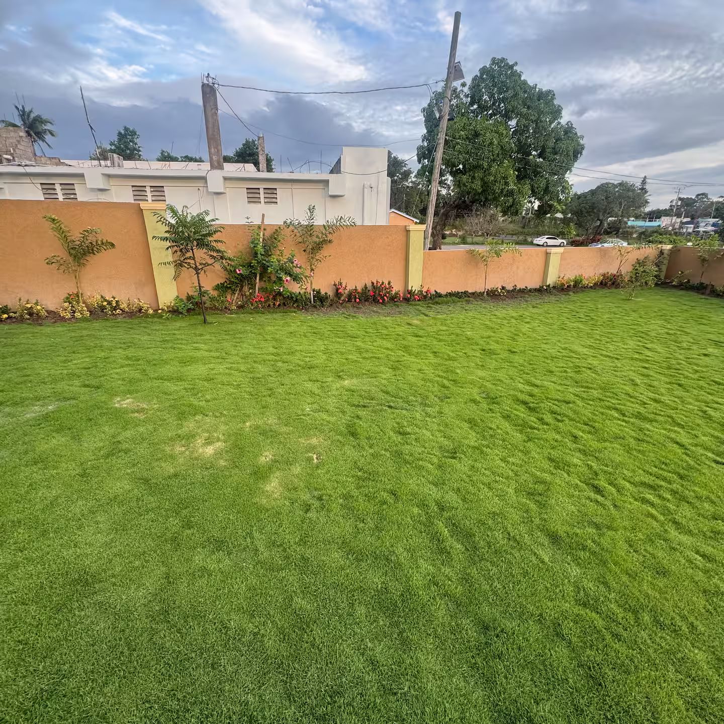 Un jardín trasero con césped bien cuidado, un muro bajo, algunos árboles pequeños y un edificio al fondo.