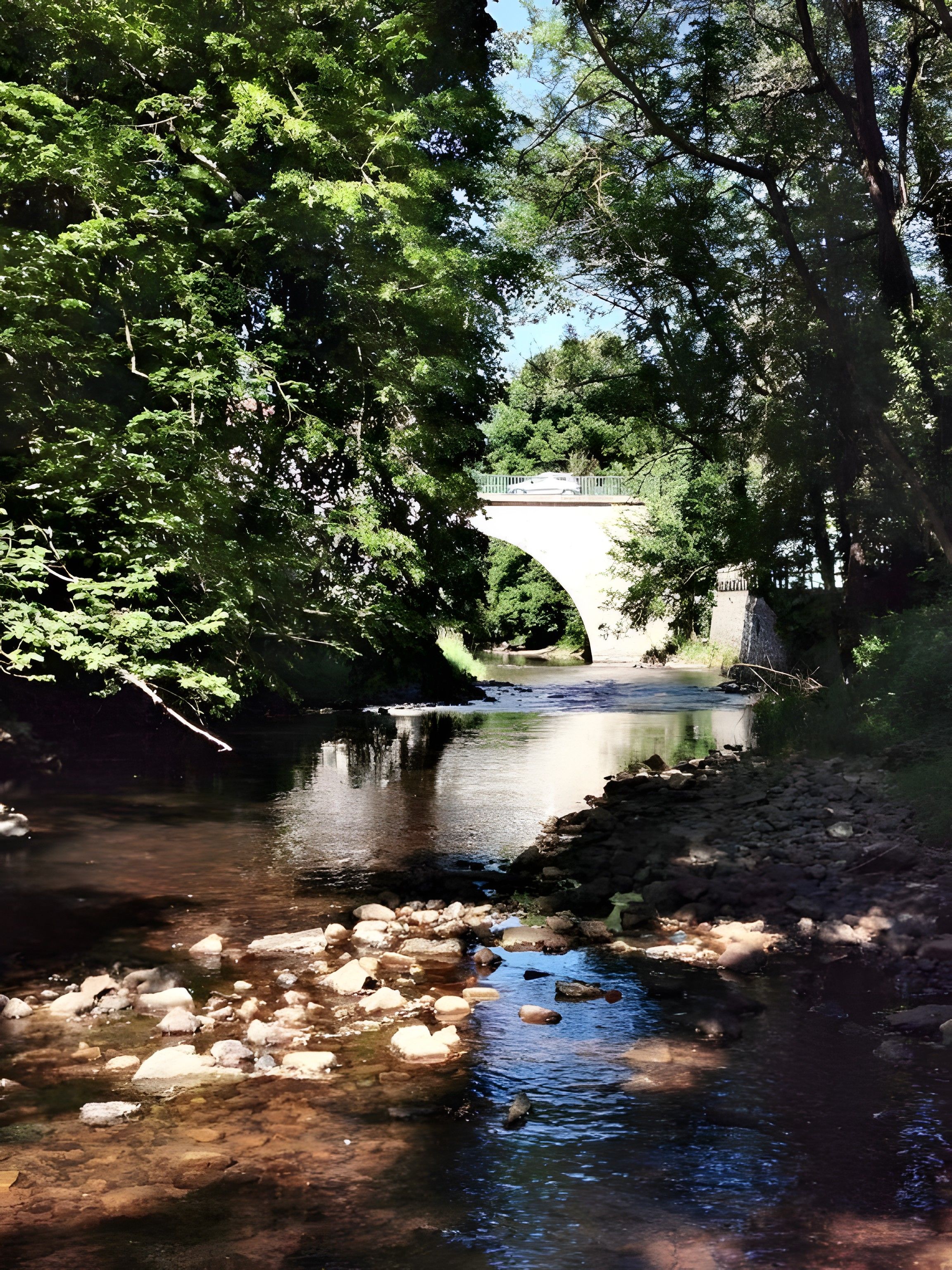 A river with rocks and a bridge in the background.