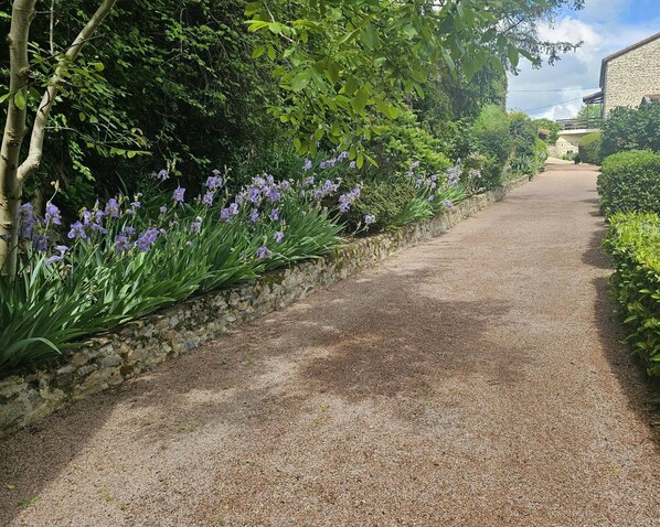 A gravel path flanked by lush greenery and flowering plants.