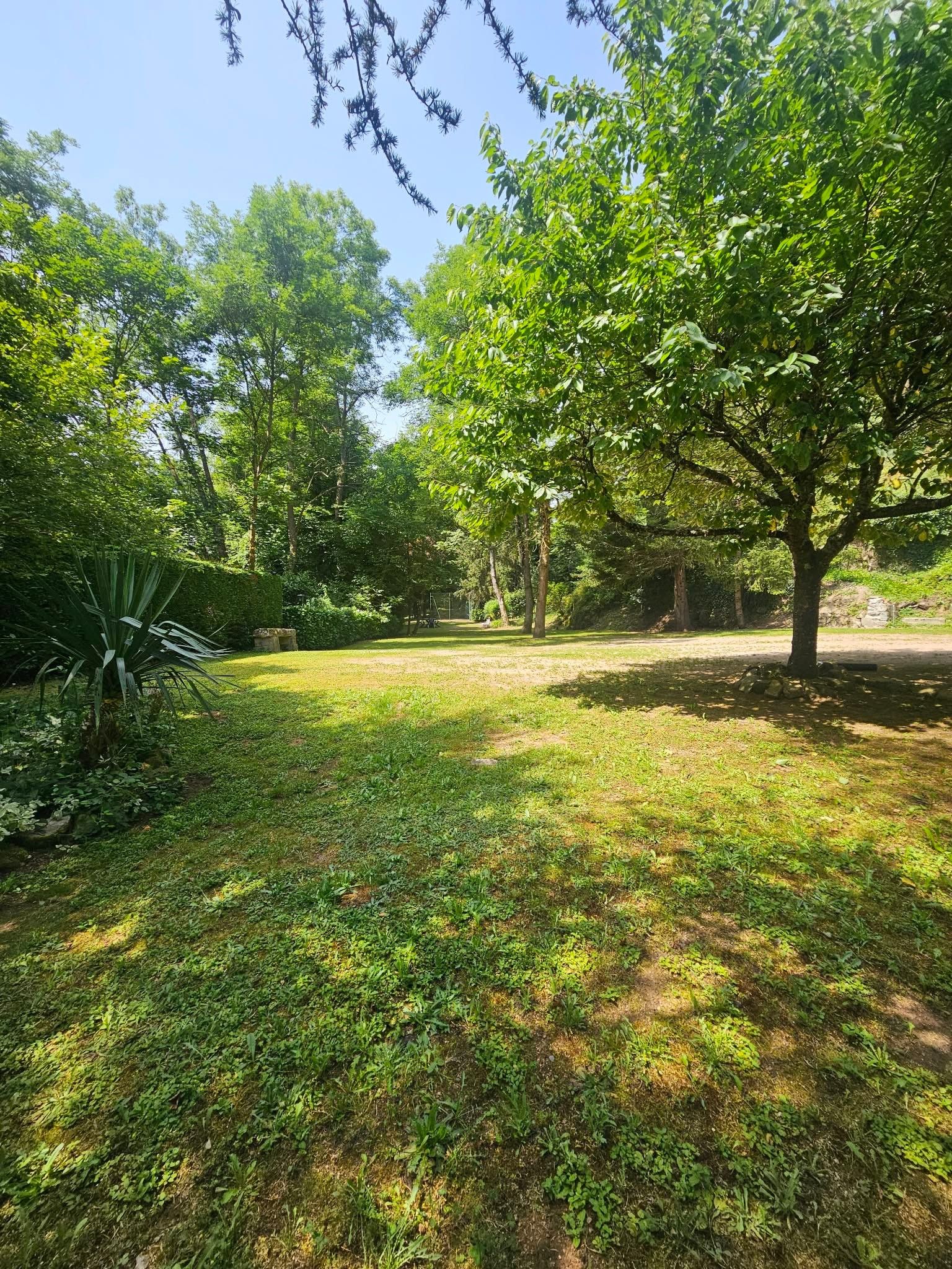 A grassy outdoor area with trees and a clear sky.