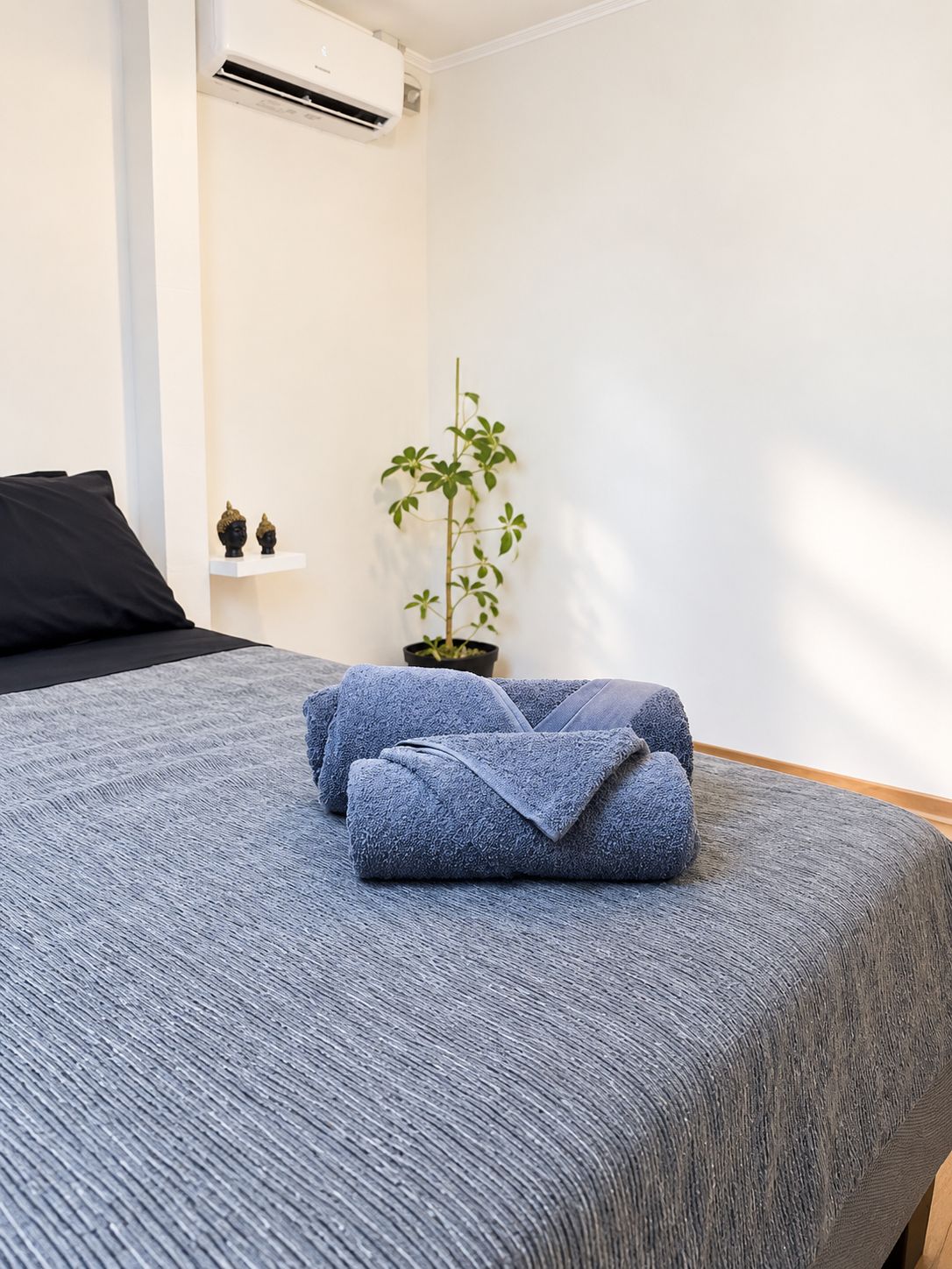Una cama bien tendida con una manta azul, una planta en maceta y una almohada negra sobre una pared blanca.