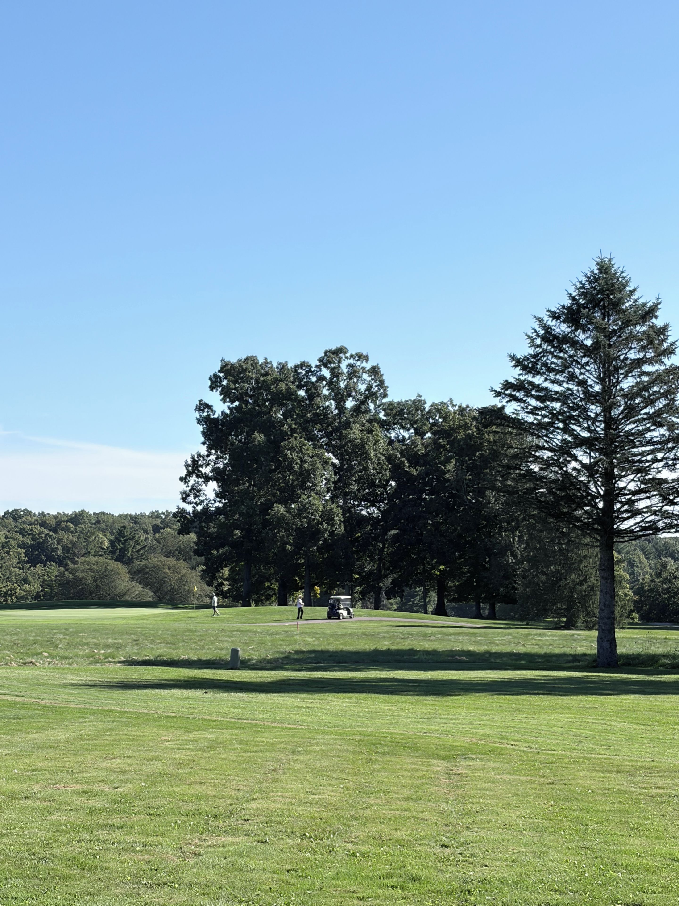 A golf course with a clear sky, a large tree, and a golf cart.