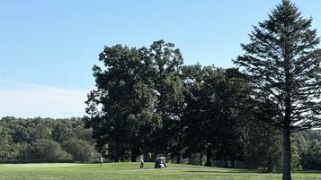 A golf course with a clear sky, a large tree, and a golf cart.