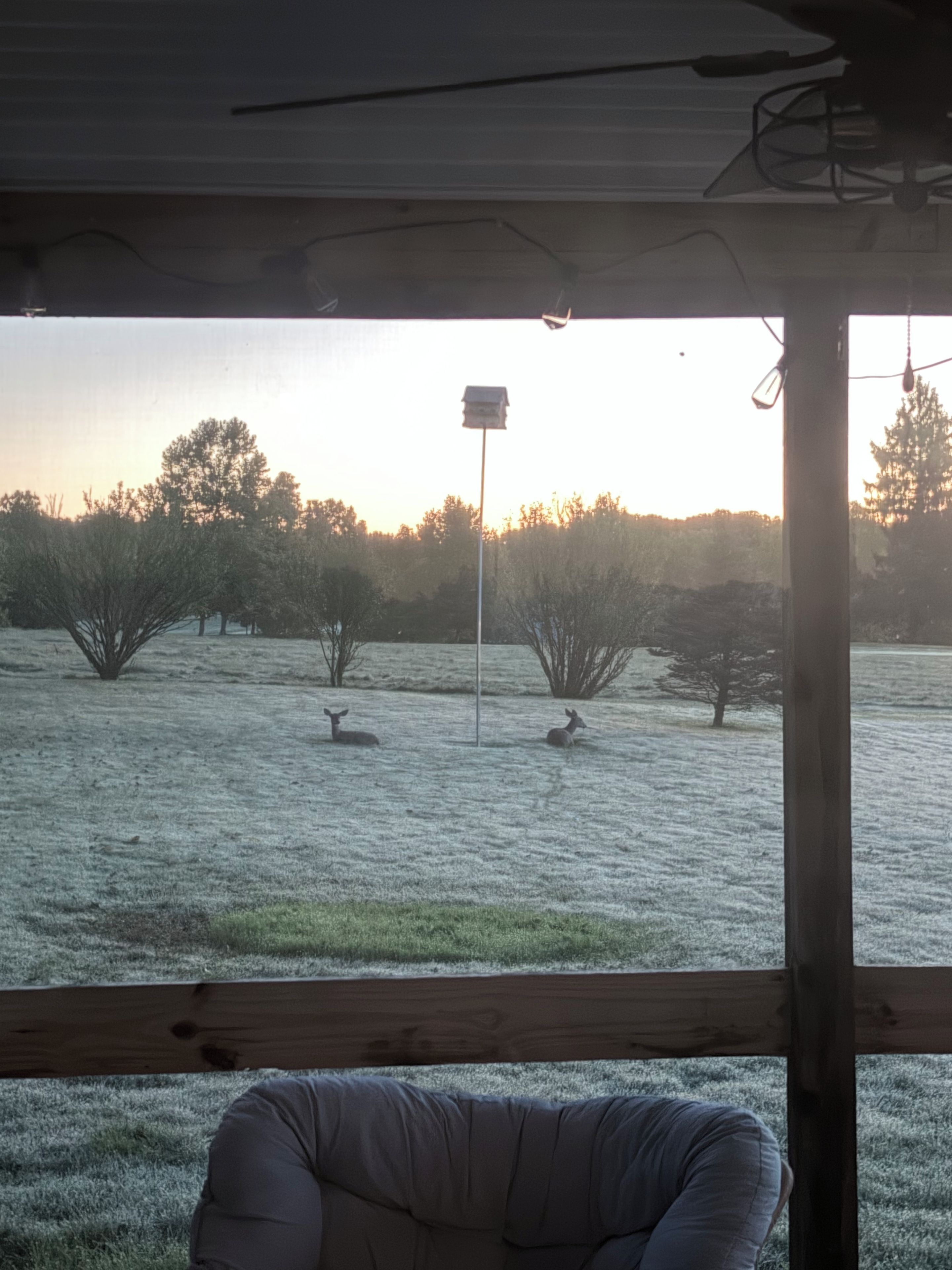 A room with a view of a frosty field and trees, a wooden ceiling, and a chair.