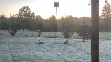 A room with a view of a frosty field and trees, a wooden ceiling, and a chair.