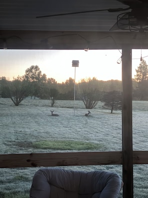 A room with a view of a frosty field and trees, a wooden ceiling, and a chair.