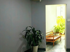 Un pasillo con una planta en maceta, un banco de madera y una puerta que da a una habitación luminosa con flores amarillas.